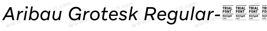 Aribau Grotesk Regular字体转换